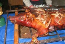 Why You Should Go To Your Local Hog Roast Provider Over Anyone Else Your Local Hog Roast