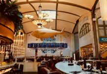Getting Your Restaurant in Tip-top Shape Restaurant in Tip-top Shape
