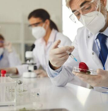 Food Processing Technology To Improve Food Quality Technology To Improve Food Quality